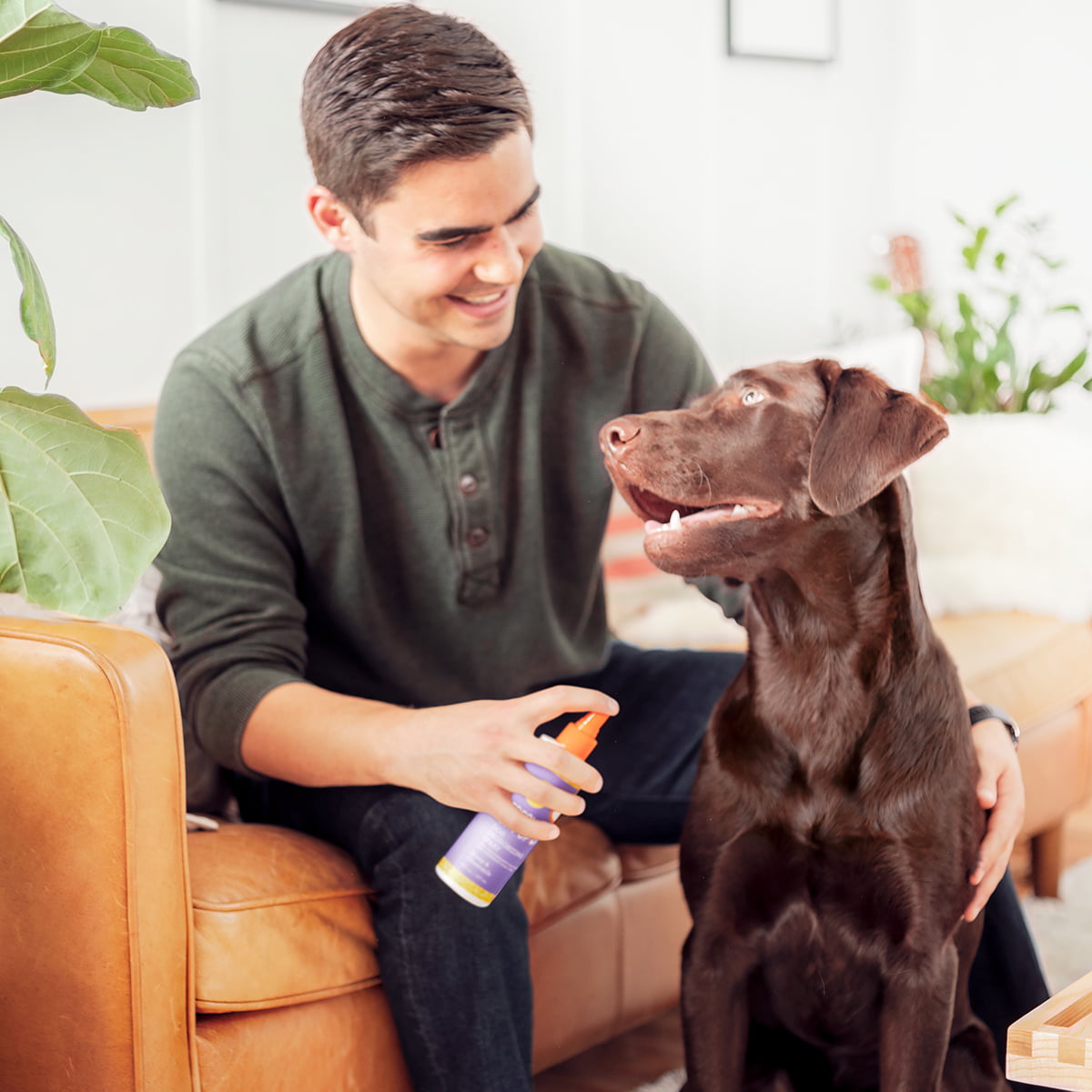 We Tried the Top 11 Best Dog Deodorizing Sprays - Doggies List