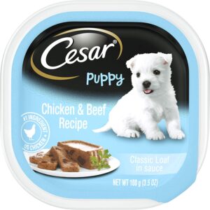 ceasar best canned puppy food