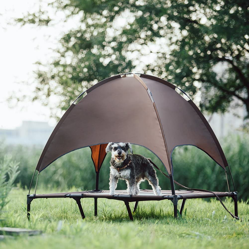 dog camping bed