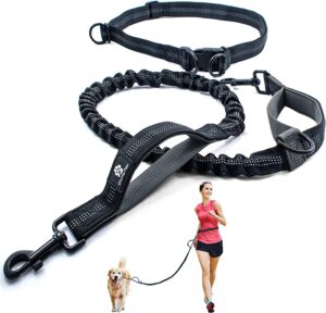dog leashes that pull