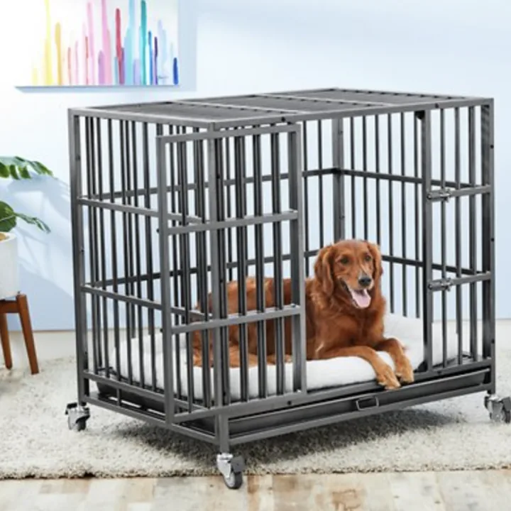 doggie in a crate
