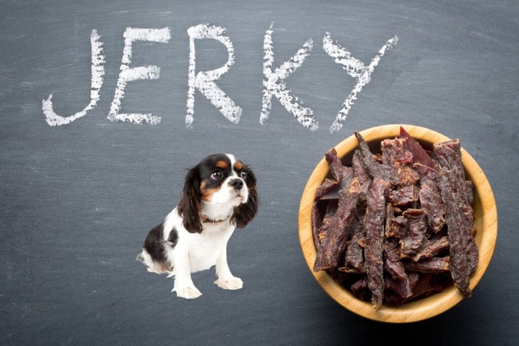 dog eating jerky
