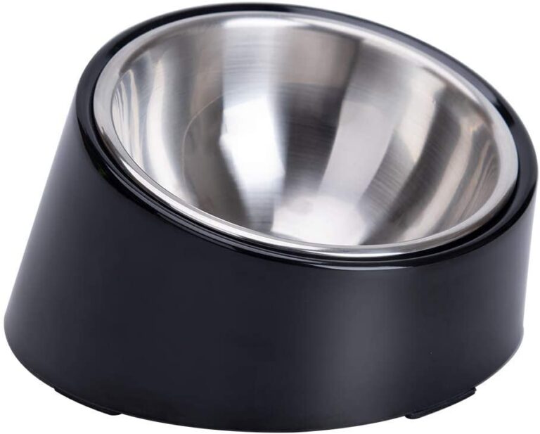 slanted dog bowl
