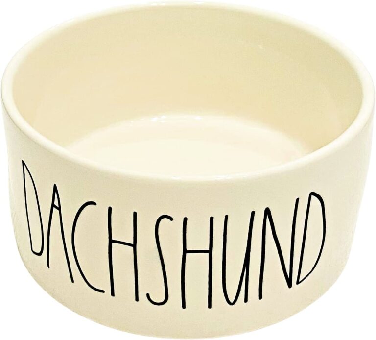 dachshund dog bowl