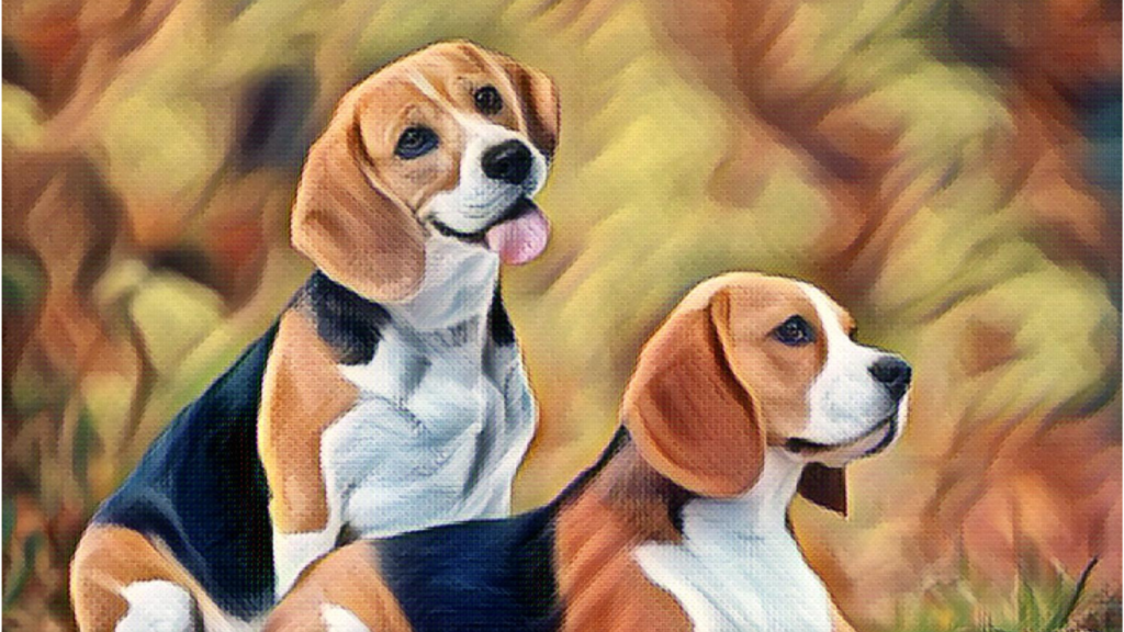 beagle