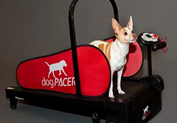 dogpacer dog treadmills