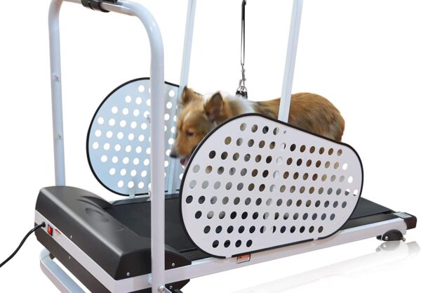 shelandy dog treadmill